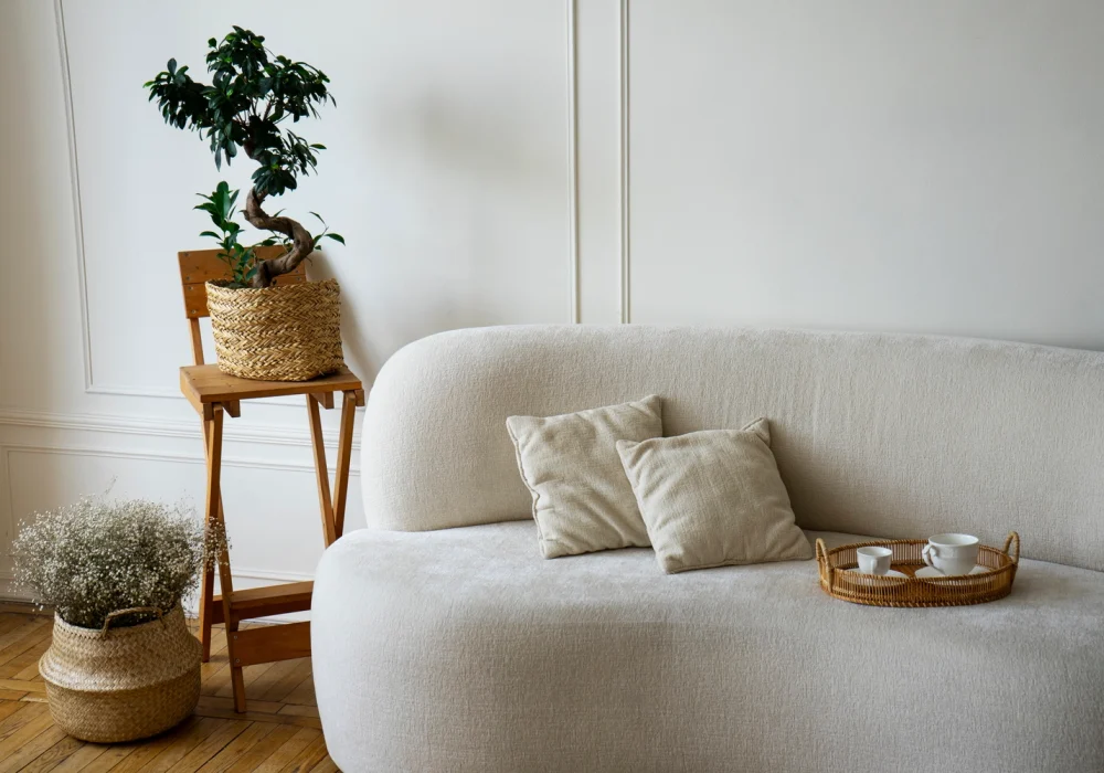 room-decor-with-potted-plants-sofa-2